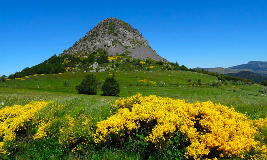 Mont Gerbier de Jonc