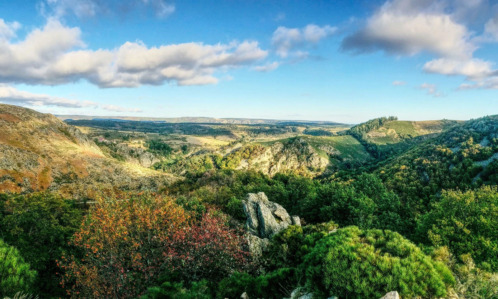 Office de Tourisme Montagne d'Ardèche