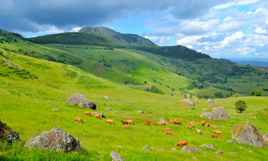 Parc Naturel des Monts D'Ardèche